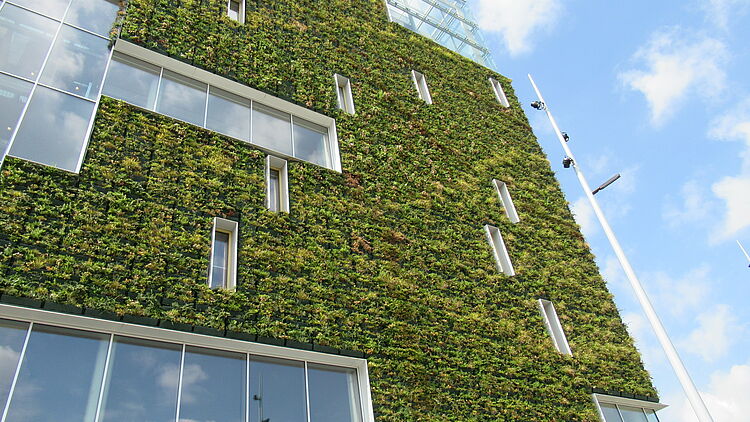 vorst Humaan Emotie Groen licht voor de groenste hogeschool van Nederland op de Floriade: LTO  Vakgroep Bomen en vaste planten